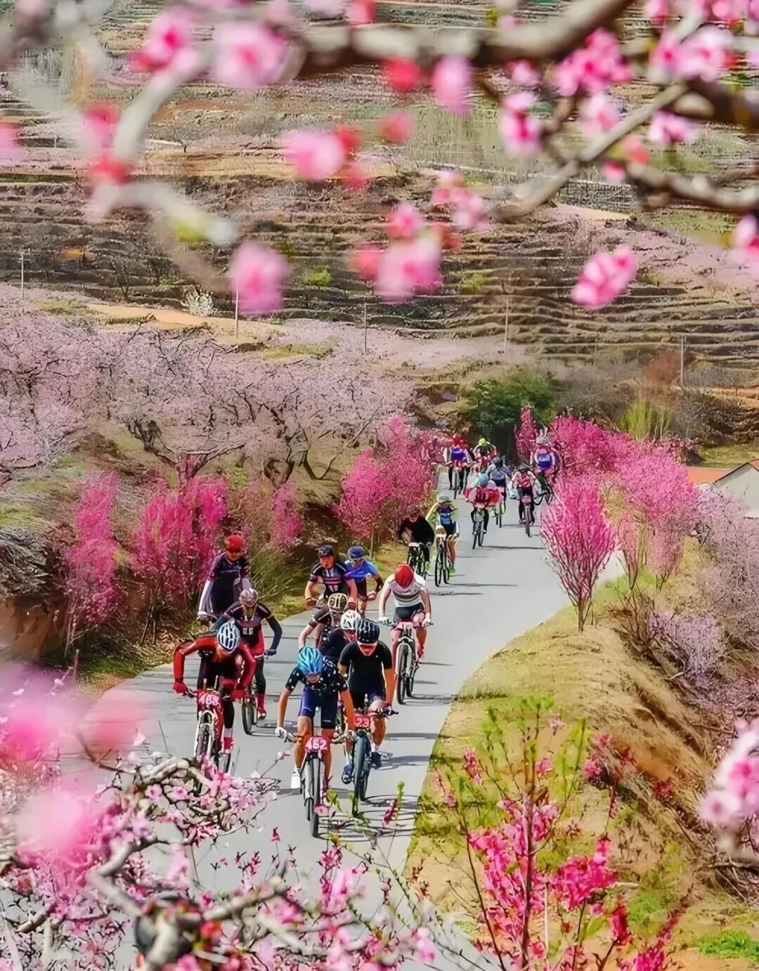 土土垚助力环云蒙湖自行车骑游大会，沂蒙菜粥为您补充能量！